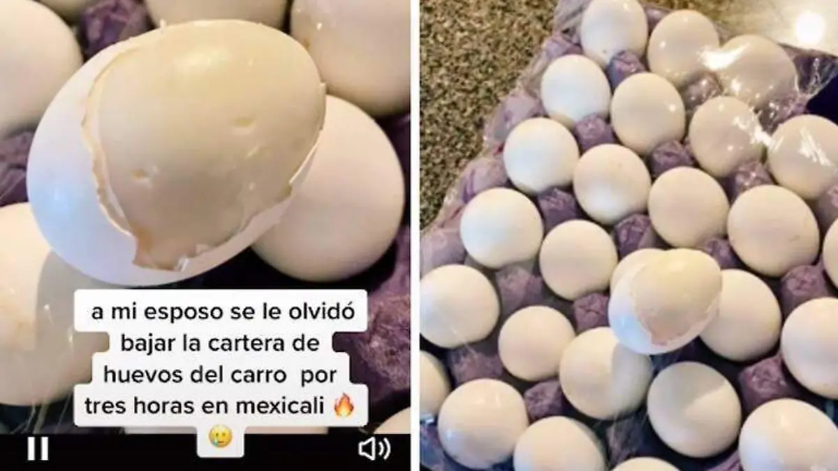 Olvidan caja de huevos en un carro y se cuecen por las altas temperaturas